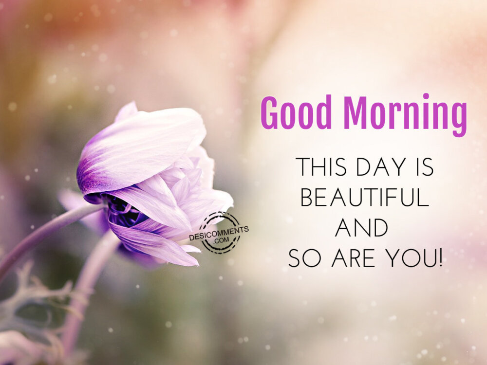 Good Morning This Day is Beautiful And So Are You - DesiComments.com