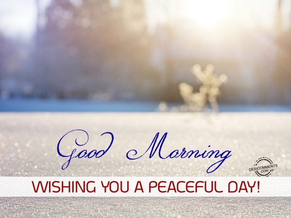 Good Morning Wishing You A Peaceful Day
