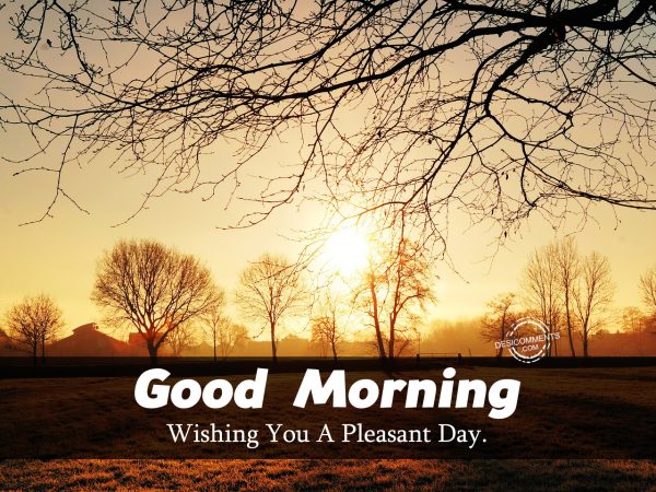 Good Morning Wishing You A Pleasant Day.