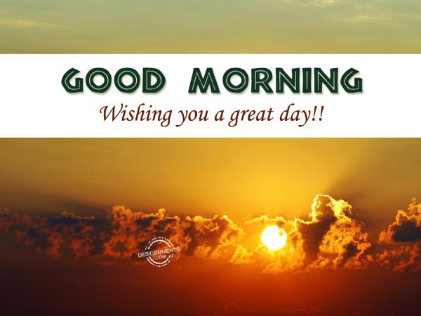 Good Morning Wishing You A great Day...