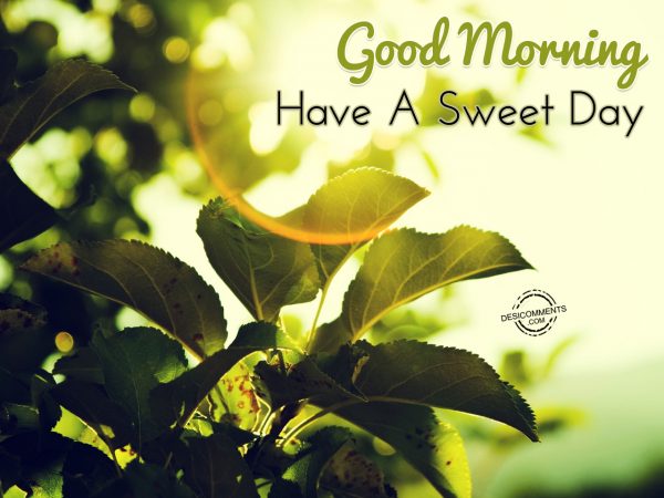 Good Morning... Have A Sweet Day