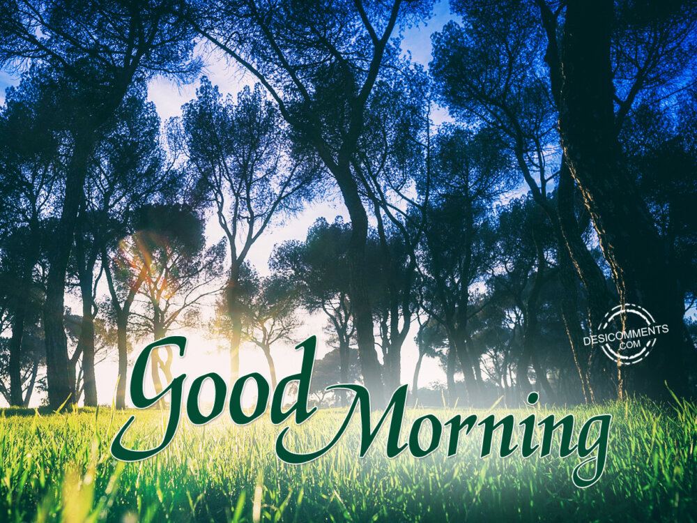 Good Morning - DesiComments.com