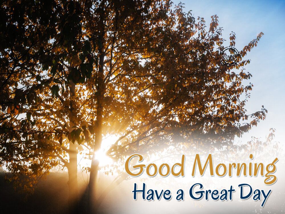 Have A Great Day – Good Morning - DesiComments.com