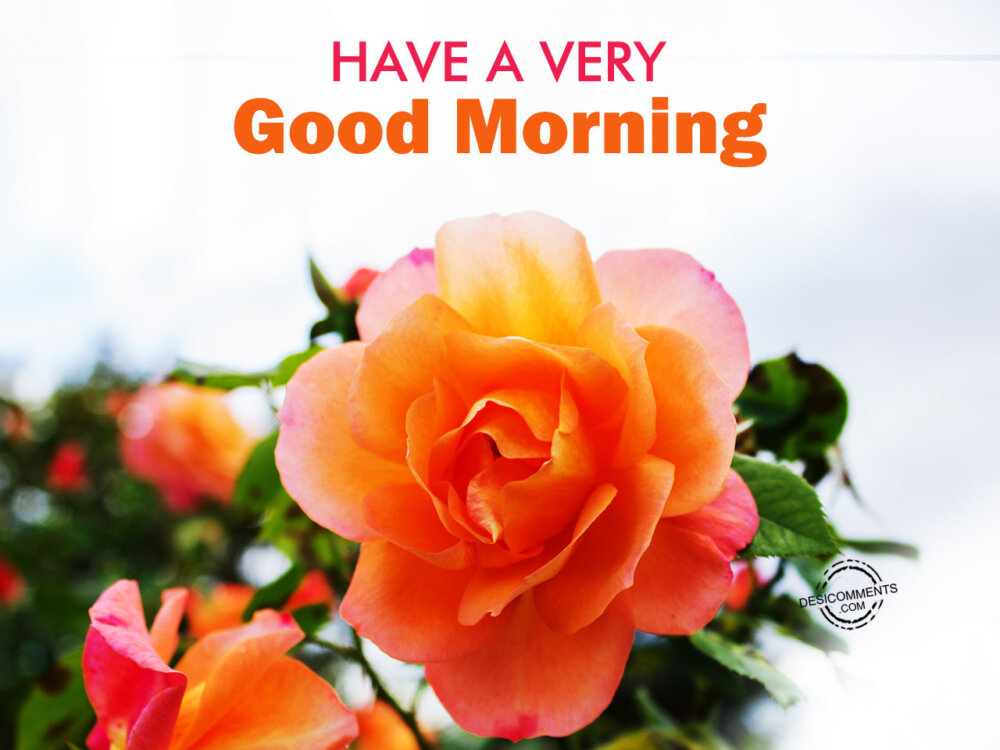 Have A Very Good Morning - DesiComments.com