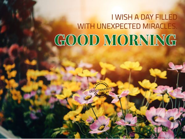 I Wish A Day Filled With Unexpected Miracles.... Good Morning