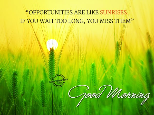 Oppotunities Are like Sunrises... Good Morning