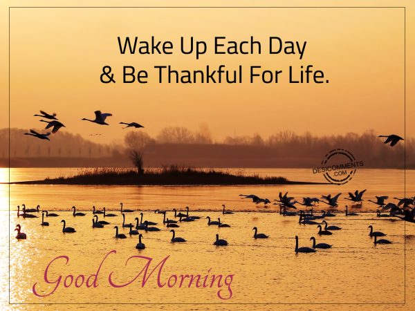 Wake Up Each Day & Be Thankful For Life.