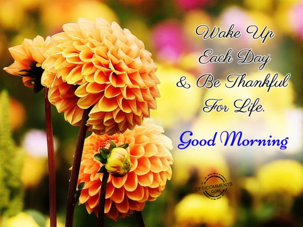 Wake Up Each Day & Be Thankful For Life. Good Morning