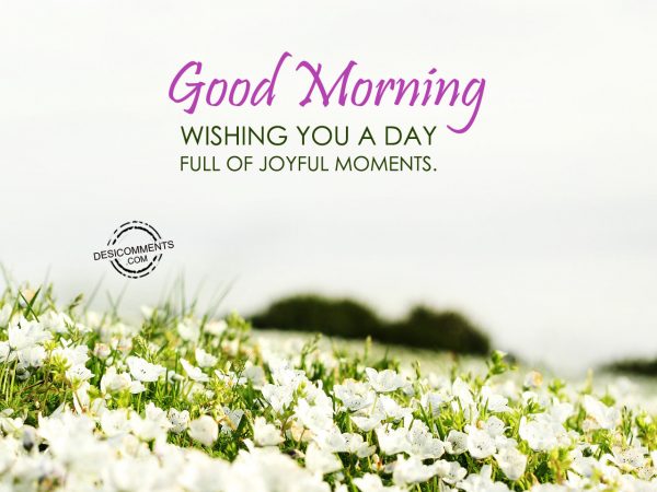 Wishing You A Day Full Of Joyfull Moments