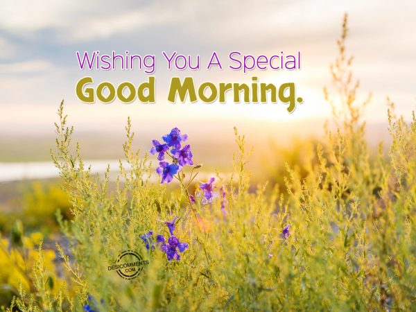 Wishing You A Special Good Morning