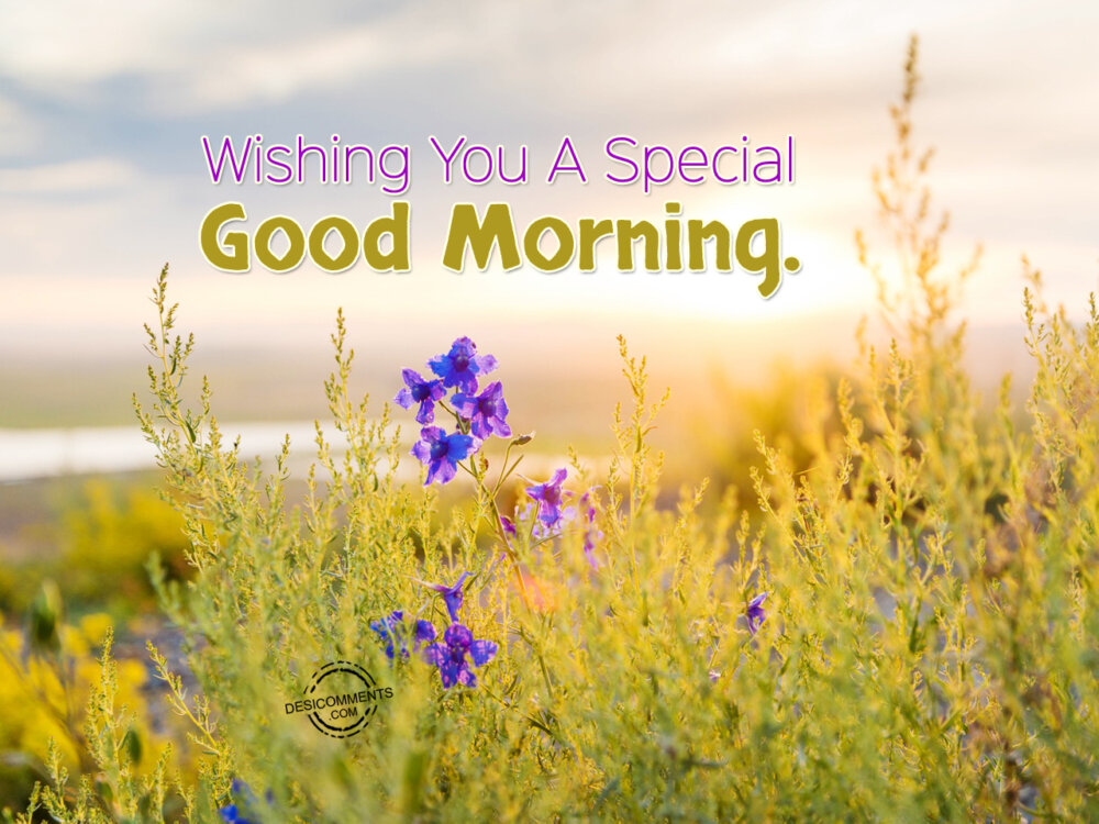 Wishing You A Special Good Morning - DesiComments.com