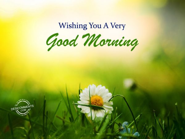 Wishing You A Very Good Morning