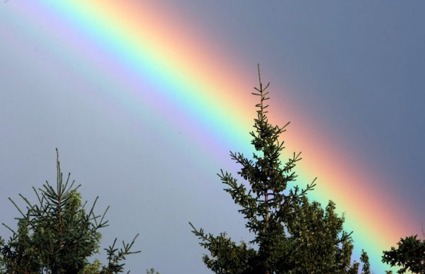 Beautiful Pic Of Rainbow