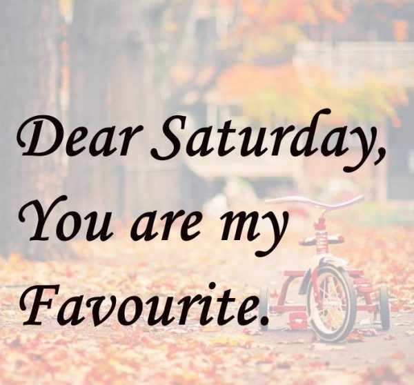 Dear Saturday You Are My Favourite