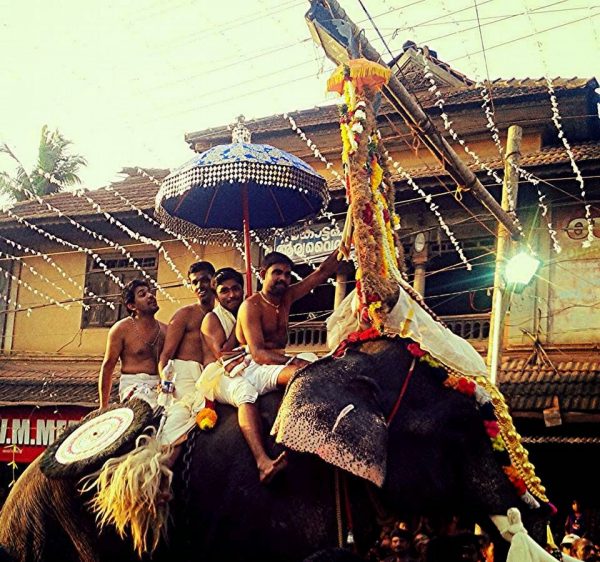 Devottes Sitting On Elephant