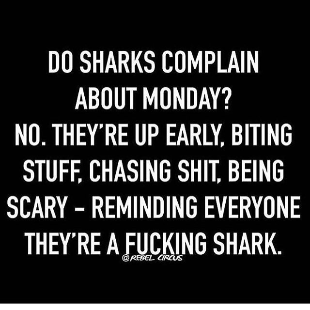 Do-sharks-complain-about-monday.jpg