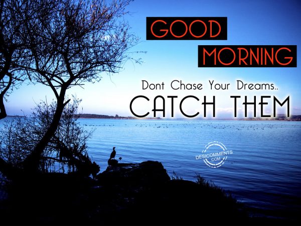 Do Not Chase You Dreams Catch Threm