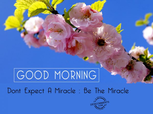 Do Not Expect A Miracle Be The Mriracle