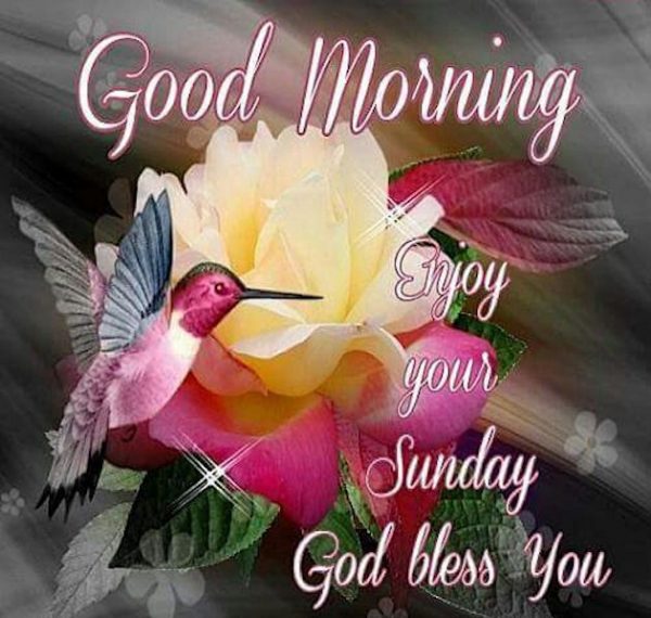 Enjoy Your Sunday God Bless You