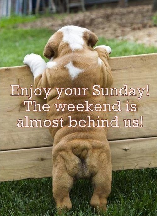 Enjoy Your Sunday