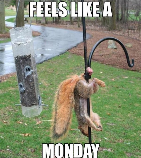 Feels like a monday