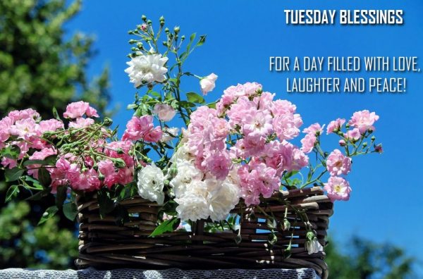For a day filled with love