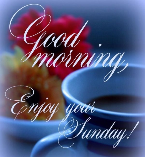 Good Morning Enjoy Your Sunday !