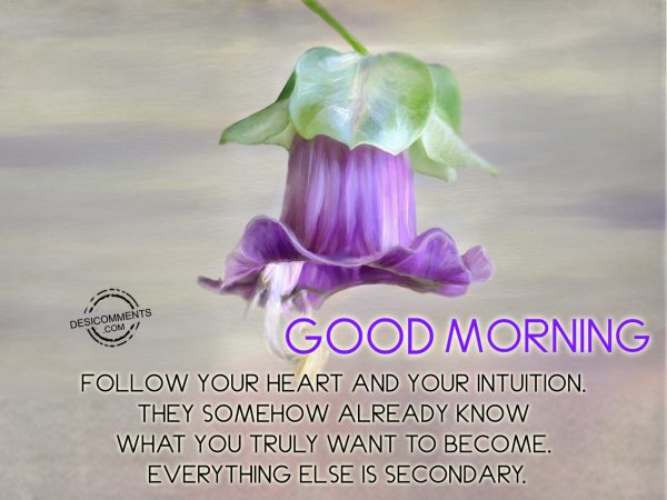 Good Morning Follow Your Heart And Your Intuition