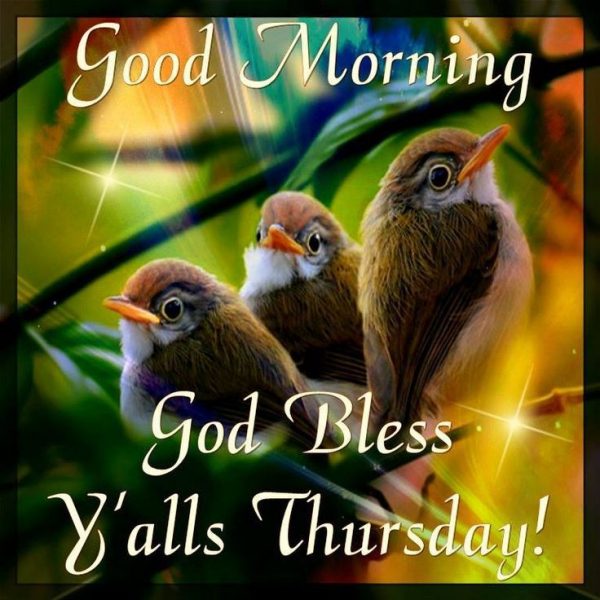 Good Morning God Bless Yalls Thursday