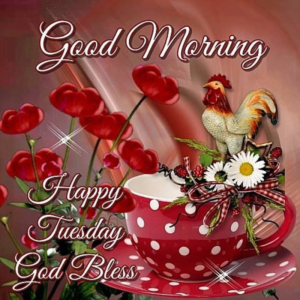 Good Morning Happy Tuesday God Bless - DesiComments.com