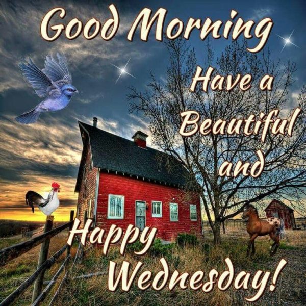 Good Morning Have A Beautiful And Happy Wednesday