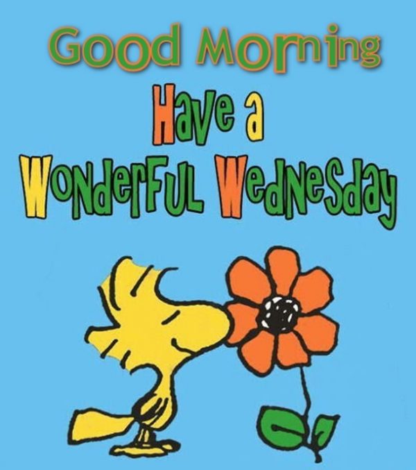 Good Morning Have A Wonderful Wednesday