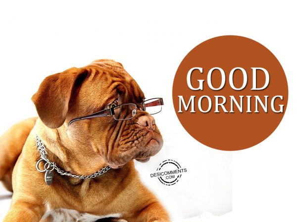 Good Morning Image