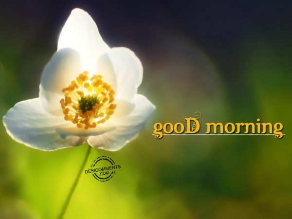 Good Morning Pic - DesiComments.com