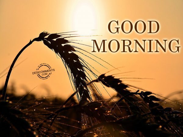 Good Morning Picture
