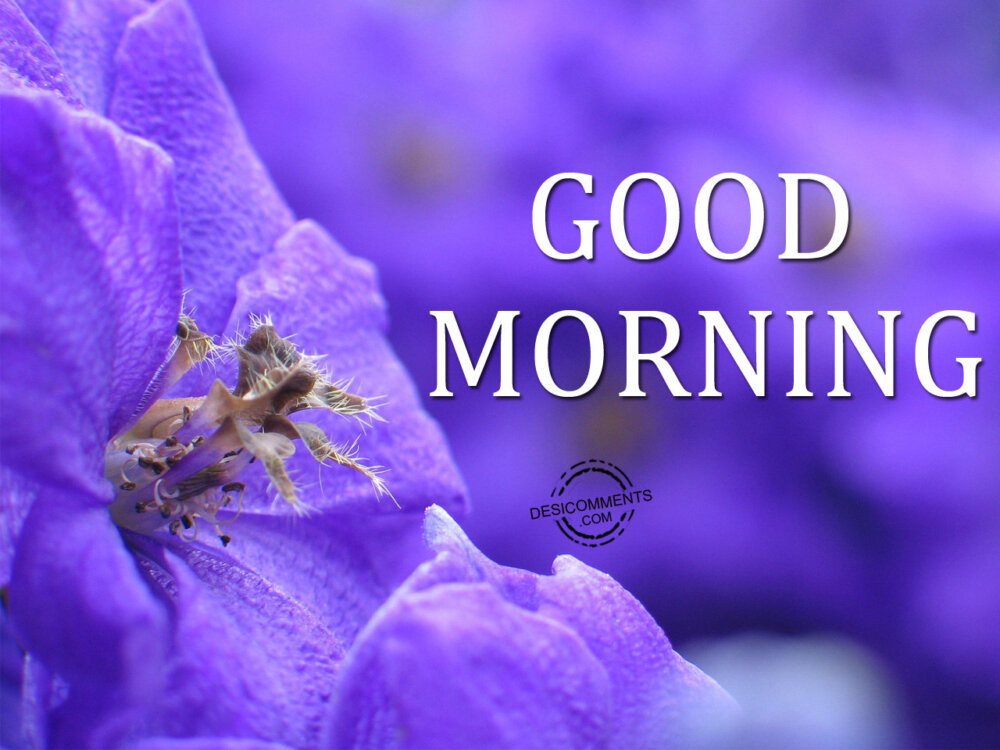  Miercuri Good-Morning-Wallpaper-3