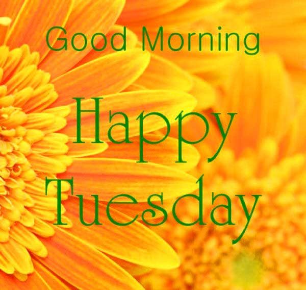 Good morning happy tuesday !