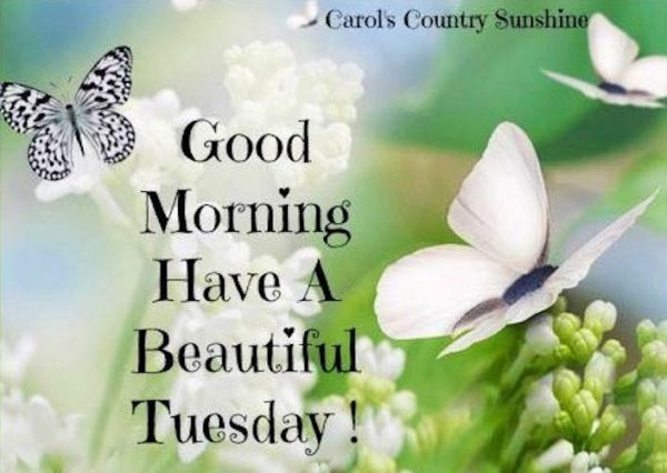 Good morning have a beautiful tuesday