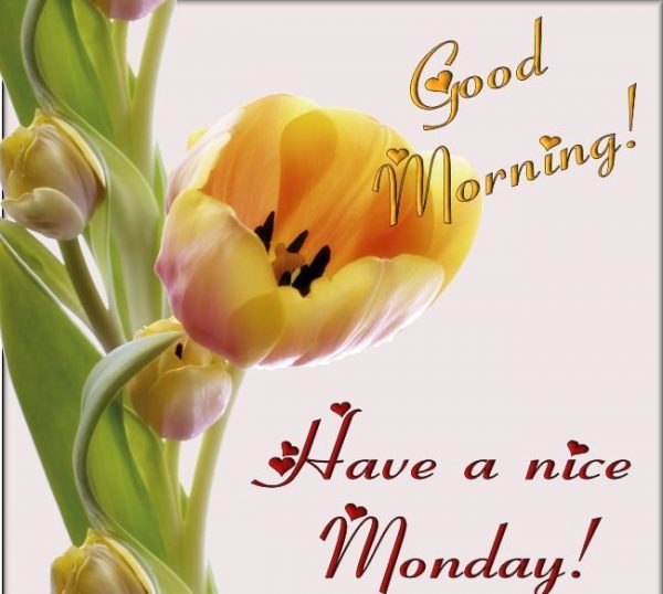 Good morning have a nice monday