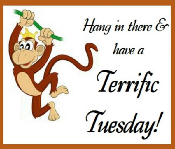 Hang in there And have a terrific tuesday