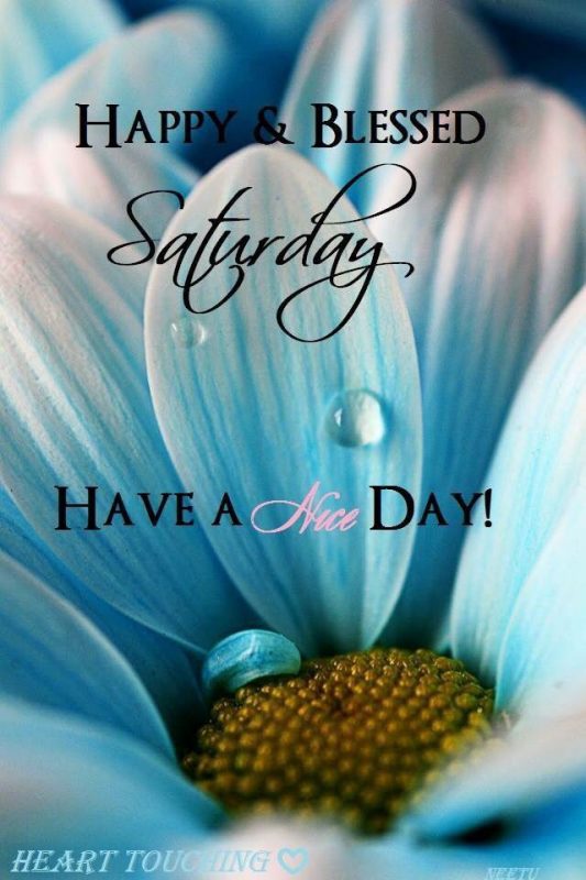 Happy And Blessed Saturday