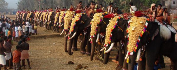 Happy Kaziranga Elephant Festival