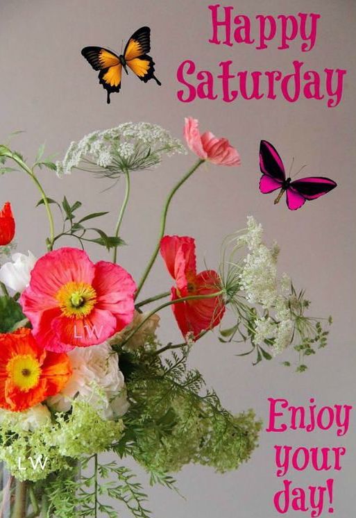 Happy Saturday Enjoy Your Day