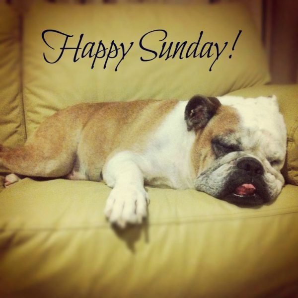 Happy Sunday !