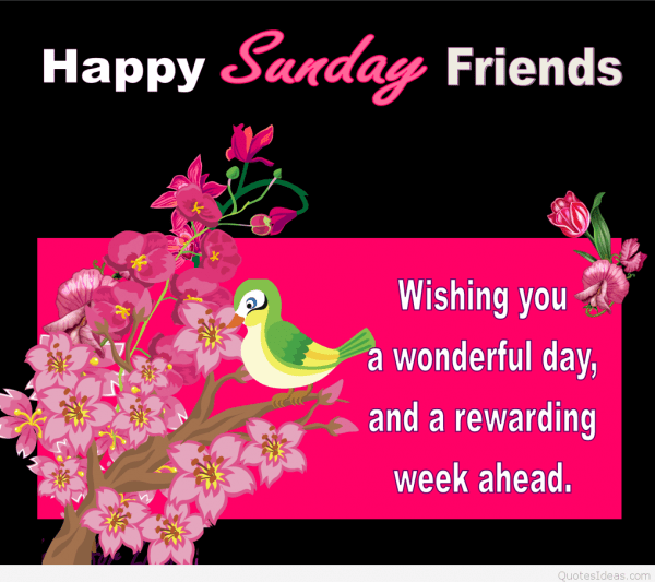 Happy Sunday Friends