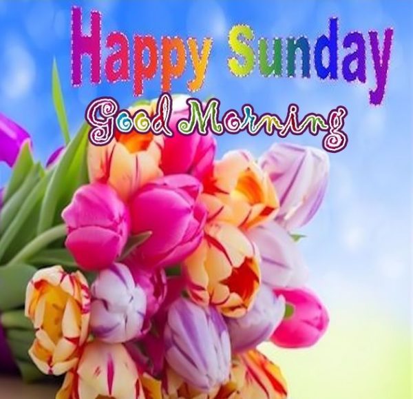 Happy Sunday Good Morning !!