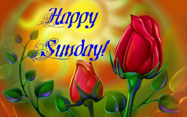 Happy Sunday Pic