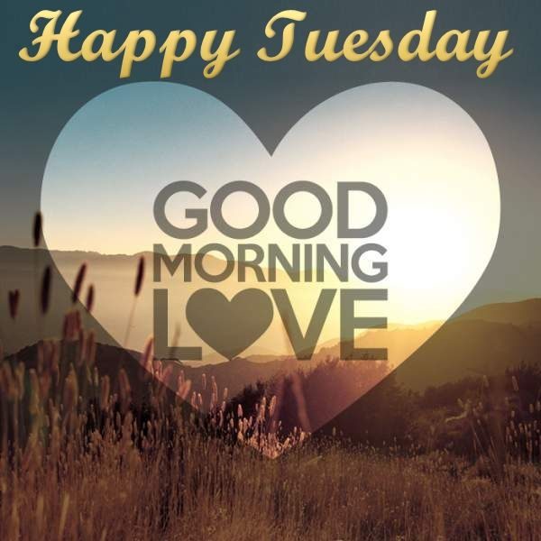 Happy Tuesday Good Morning Love