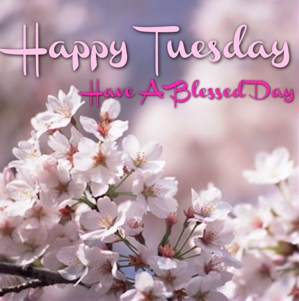 Happy Tuesday Have A Blessed Day !