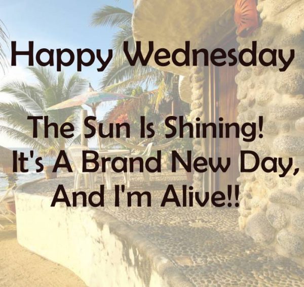 Happy Wednesday !